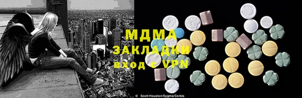 шишки Абаза