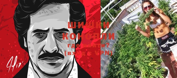 стаф Гусев