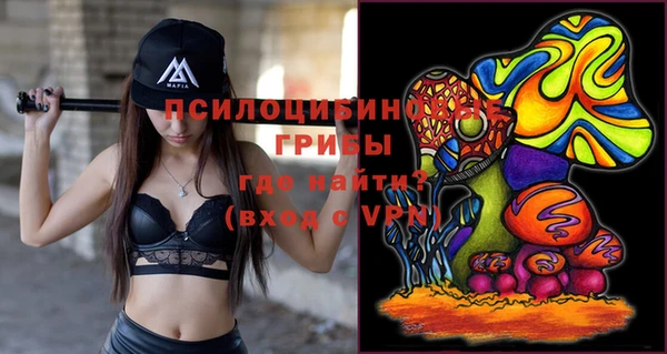 apvp Алексин