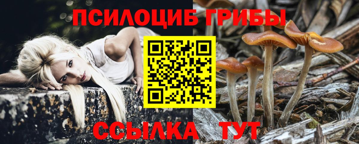 Псилоцибиновые грибы ЛСД  Псилоцибиновые грибы Cubensis  Ступино  Вход с VPN 