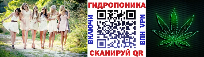 купить наркотики сайты  Ступино  Конопля гибрид 